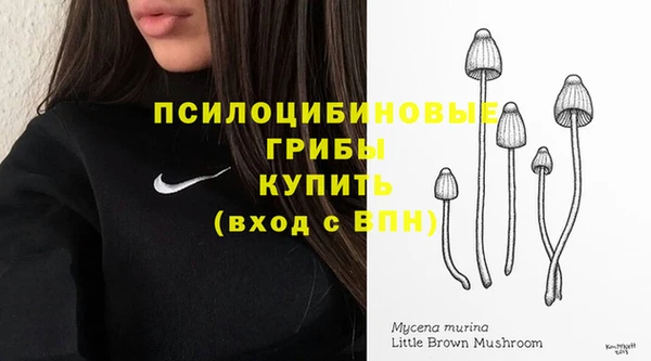 тгк Богданович